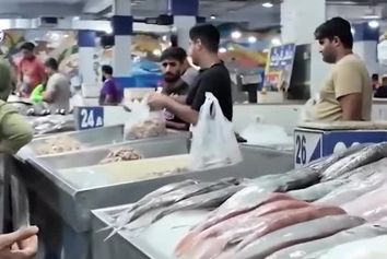 توسعه استفاده از هواپیماهای آب‌نشین

و سبک در دستور کار


