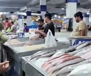 توسعه استفاده از هواپیماهای آب‌نشین

و سبک در دستور کار


