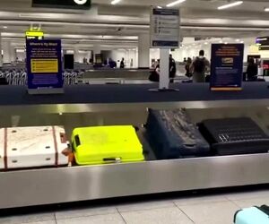چمدان‌های مسافران در نیویورک با لجن بدبو تحویل داده شد!