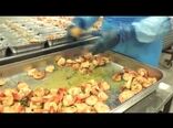 کترینگ هواپیمایی امارات