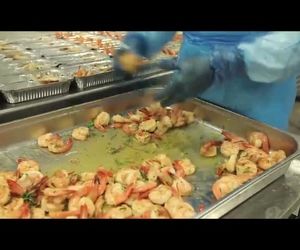 کترینگ هواپیمایی امارات