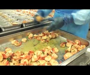 کترینگ هواپیمایی امارات