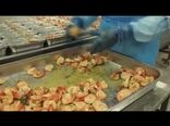 کترینگ هواپیمایی امارات