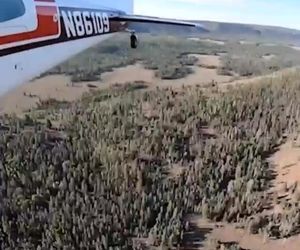 سقوط آزاد بچه ماهی ها در دریاچه های یوتا