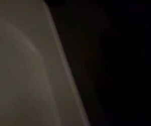 ویدیویی از لحظات پر استرس بازگشت پرواز سیرجان به تهران ماهان به مبدا