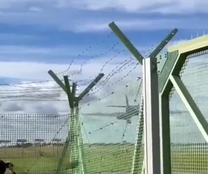 تقرب زیبای BONE