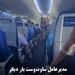 مدیرعامل ساوت‌وست بار دیگر در نقش مهماندار پرواز ظاهر شد