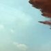 هواپیمای آتش‌نشان و یک اتفاق جالب 