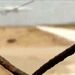 پیش به سوی فرود در کراچی با بزرگترین هواپیمای جهان؛ رویا ۲۲۵