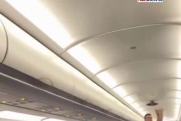 ورود ناگهانی کبوتر به داخل هواپیما 
مسافران را غافلگیر کرد