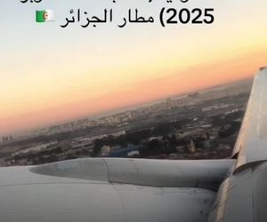 برخور‌د هواپیمای سعودی با دسته‌ای پرنده هنگام برخاست از الجزیره