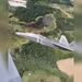 پرواز در کنار F-22 رپتور 