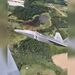 پرواز در کنار F-22 رپتور 