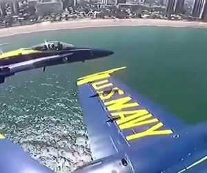 پرواز فورمیشن فرشتگان آبی 