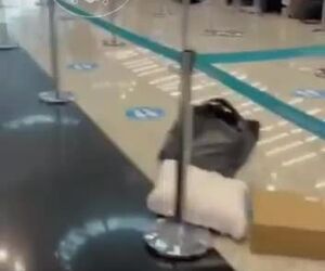 گلایه مسافر پرواز استانبول به تهران معراج از باطل شدن پرواز و عدم پاسخگویی مناسب این شرکت