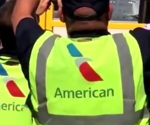 حادثه Bird Strike و گیر کردن پرنده در بدنه هواپیما 