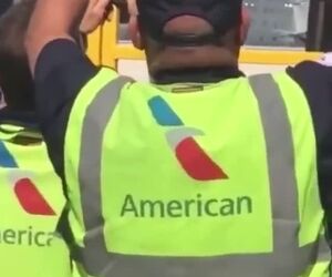 حادثه Bird Strike و گیر کردن پرنده در بدنه هواپیما 