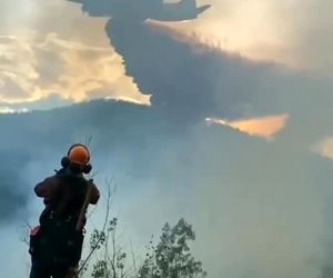 ویدیویی از اطفا حریق با تانکر لاکهید مارتین الکترا L188 بصورت اسلوموشن