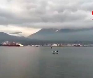 فرود هواپیمای دوزیست بر روی آب 