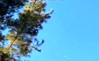 سقوط مرگبار جت شخصی مکزیکی در آمریکا