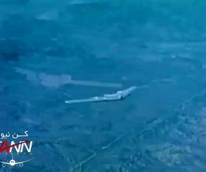 آشنایی با بال های پرنده یا هواپیماهای بال دلتا (مثلثی) که فاقد سکان عمودی هستند