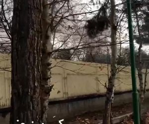 تیم امداد و نجات در محل سانحه