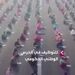 آزمون استخدامی روی باند فرودگاه هندی
