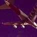 اپروچ شبانه سوپر جامبو