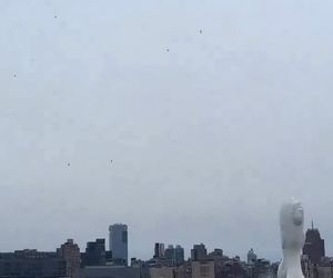 سقوط مرگبار یک هلیکوپتر در آمریکا فاجعه آفرید