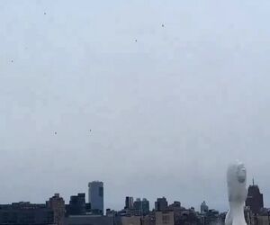 سقوط مرگبار یک هلیکوپتر در آمریکا فاجعه آفرید