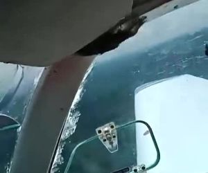 برخورد پرنده با هواپیما حین پرواز 

