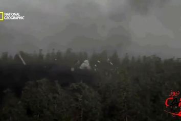 چگونه زنجیره ای از اشتباهات توسط خلبانان و مامور کنترل ترافیک هوایی باعث کشته شدن ۱۶۷ انسان گردید؟