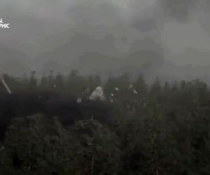 چگونه زنجیره ای از اشتباهات توسط خلبانان و مامور کنترل ترافیک هوایی باعث کشته شدن ۱۶۷ انسان گردید؟