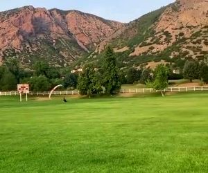 پرواز با گلایدر 