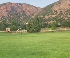 پرواز با گلایدر 