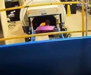 ویدیویی از دوربین‌های بخش بار فرودگاه آتلانتا و یک مهمان ناخوانده