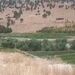لحظه سقوط بالگرد اورژانس در یاسوج
