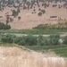 لحظه سقوط بالگرد اورژانس در یاسوج
