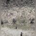 پیدا شدن یک کودک ۳ ساله با کمک پهپاد 