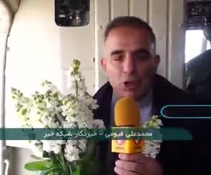  گلباران محل سقوط هواپیمای اوکراینی