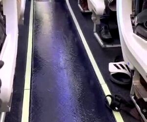 خرابی سرویس بهداشتی هواپیمای آلاسکا و جاری شدن آب در کابین مسافران