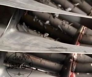 ورود پرنده به درون موتور هواپیما