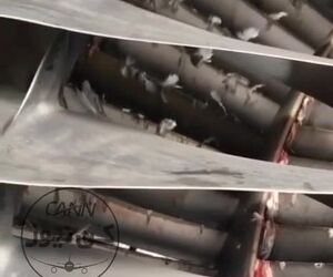 ورود پرنده به درون موتور هواپیما