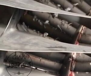 ورود پرنده به درون موتور هواپیما