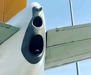 پرنده در نازل خروجی APU