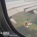 مشتعل شدن موتور هواپیما در اثر bird strike 