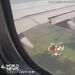 مشتعل شدن موتور هواپیما در اثر bird strike 