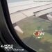 مشتعل شدن موتور هواپیما در اثر bird strike 