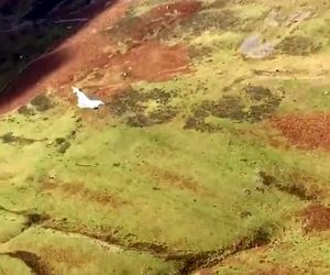 پرواز تایفون با چاشنی مانور