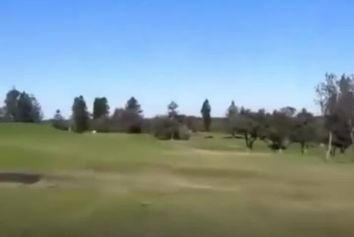 فرود اضطراری هواپیما در زمین گلف و نجات معجزه‌آسای سرنشینان